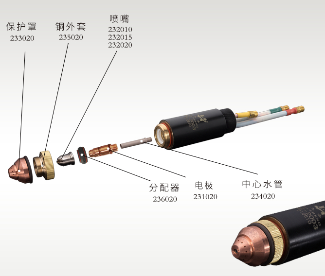 scale_1200 (3)